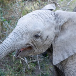 NBC081123043 Enhanced NR