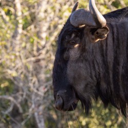 NBC081123046 Enhanced NR Edit