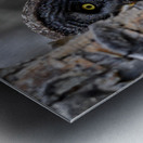 Calgary20220511 0437 Edit Metal print