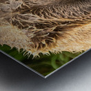 Z91 4633 Edit Metal print