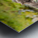 MIrror20240821 0745 Edit Metal print