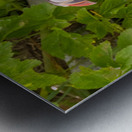 Z91 1832 Edit Metal print