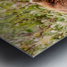 Morraine20240822 0310 Edit Metal print