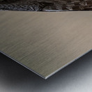 Calgary20220512 0616 Edit Metal print