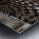 Great Gray 30x60 Metal print