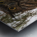 GHO 3648 Canv Metal print