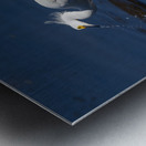 Egret 2020 Canv Metal print