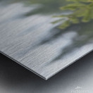 Stallion 3060 Acry Metal print