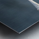 Snowy Owl 2020 Canv Metal print