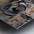 GGO3648Canv Metal print