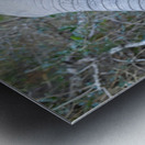 NBC081123043 Enhanced NR Metal print