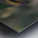 NBC081123004 Enhanced NR Metal print