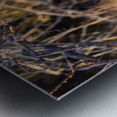 Z92 1579 Metal print