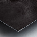 Z91 3172 Metal print