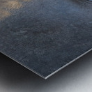 NBC081123075 Metal print