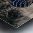 NBC081123010 Enhanced NR Metal print