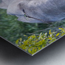 NBC081123066 Enhanced NR Metal print