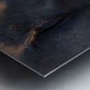 NBC081123054 Metal print