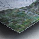 NBC081123040 Enhanced NR Metal print