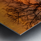 NBC081123086 Metal print