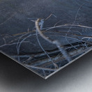 NBC081123071 Metal print