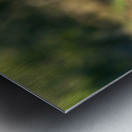 NBC081123002 Enhanced NR Metal print