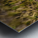 Z92 1608 NEF DxO DeepPRIMEXD Metal print