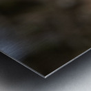 Z92 4516 Edit Metal print