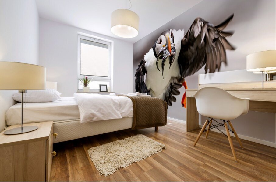 Perroquets20230719 0176 Edit Mural print