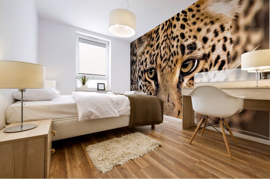 NBC081323445 Edit Mural print