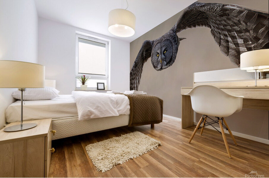 Calgary20220512 0616 Edit Mural print