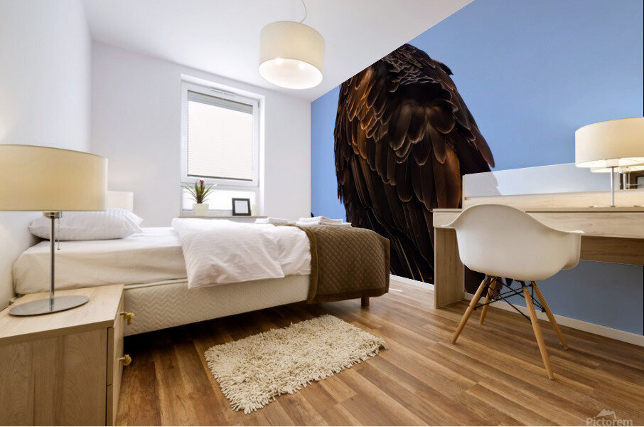 Eagle 36x48 Mural print