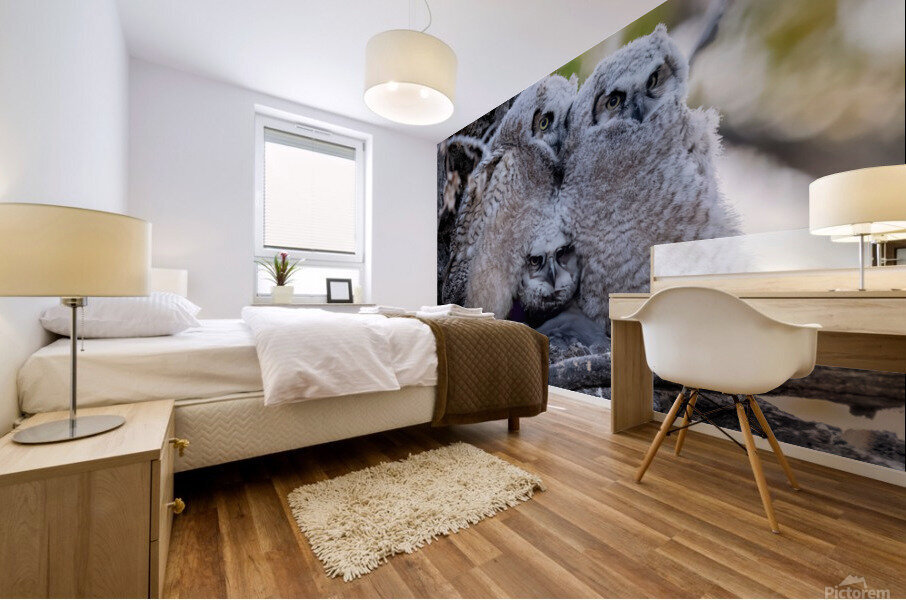 Three GHO 36x48 Mural print