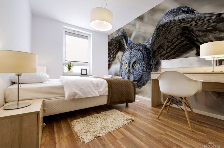 Great Gray 30x60 Mural print