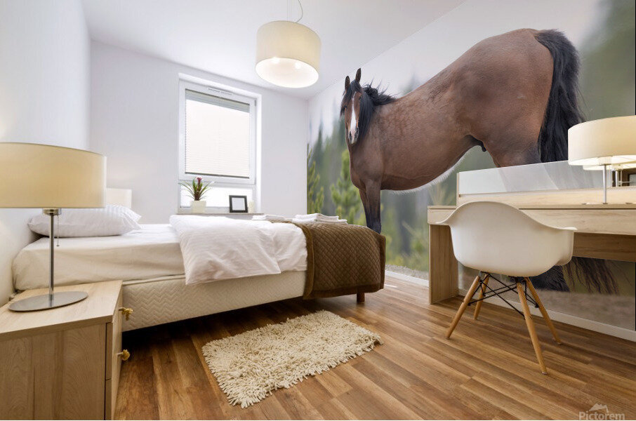 Stallion 3060 Acry Mural print