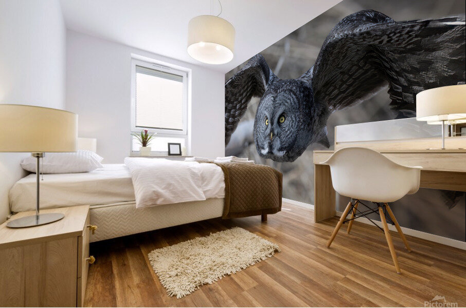 GGO 3060 Acry Mural print