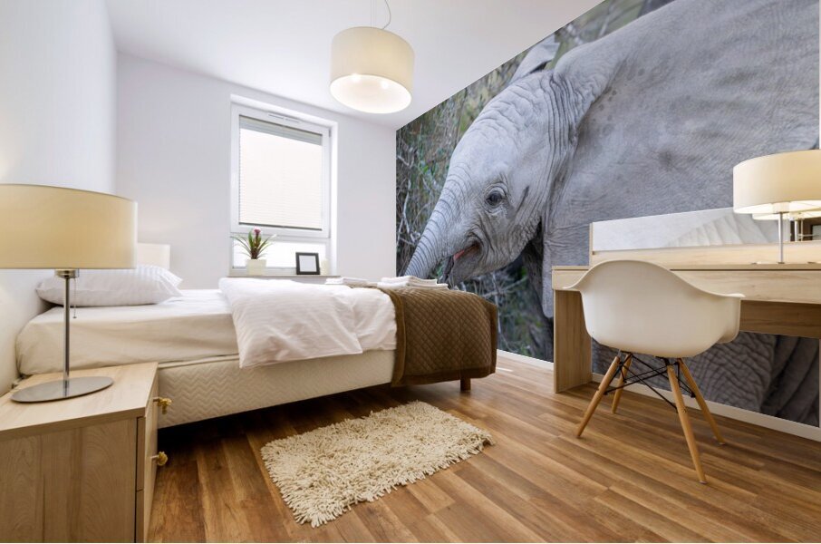 NBC081123043 Enhanced NR Mural print