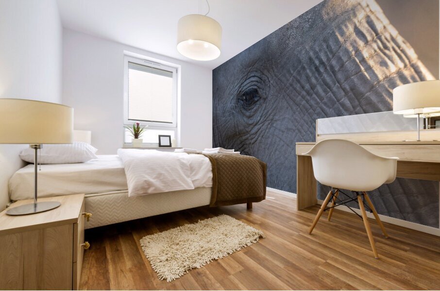 NBC081123075 Mural print