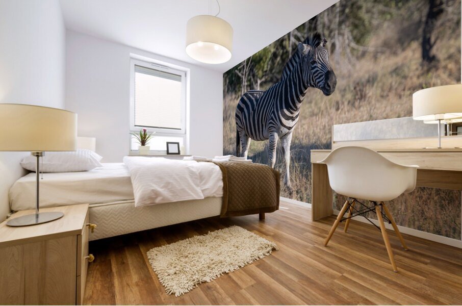 NBC081123010 Enhanced NR Mural print