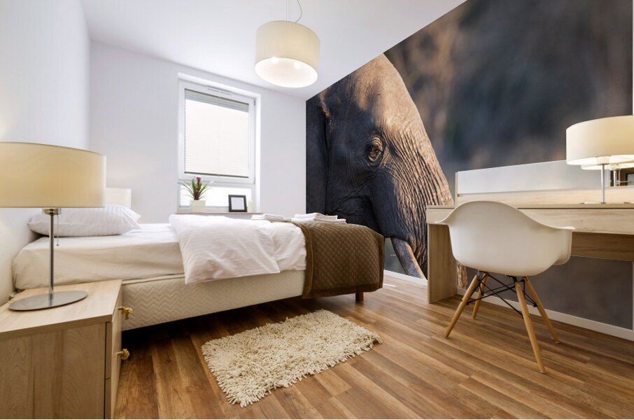 NBC081123054 Mural print