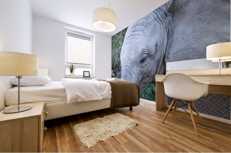 NBC081123040 Enhanced NR Mural print