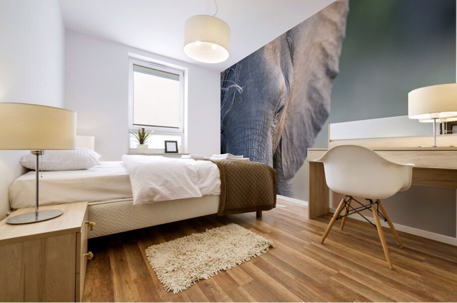 NBC081123071 Mural print