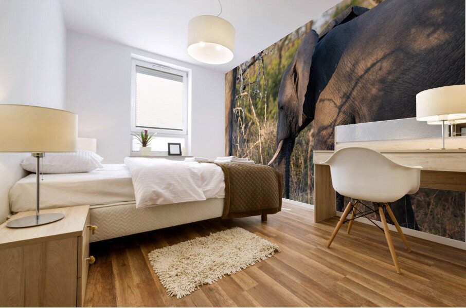 NBC081123060 Mural print