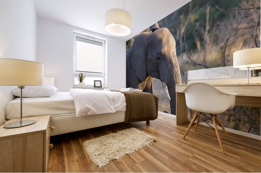 NBC081123057 Mural print