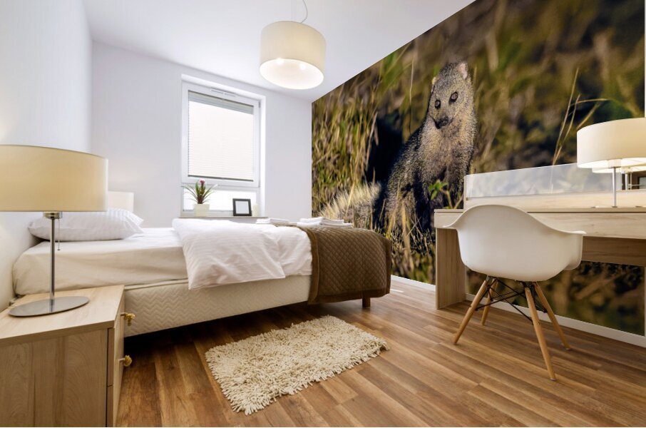 Z92 1608 NEF DxO DeepPRIMEXD Mural print