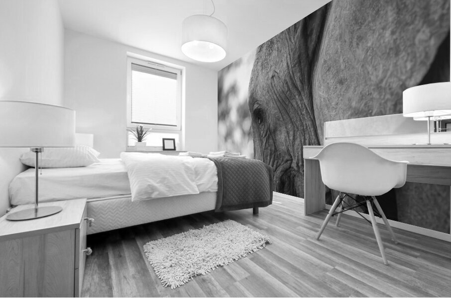 NBC081123037 Enhanced NR Mural print