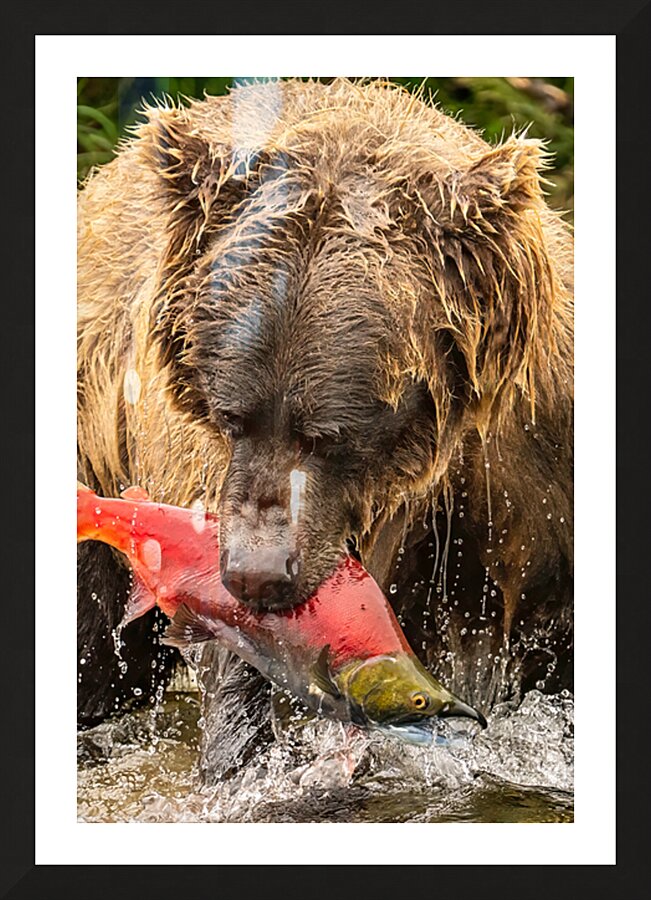 Z91 4633 Edit Picture Frame print