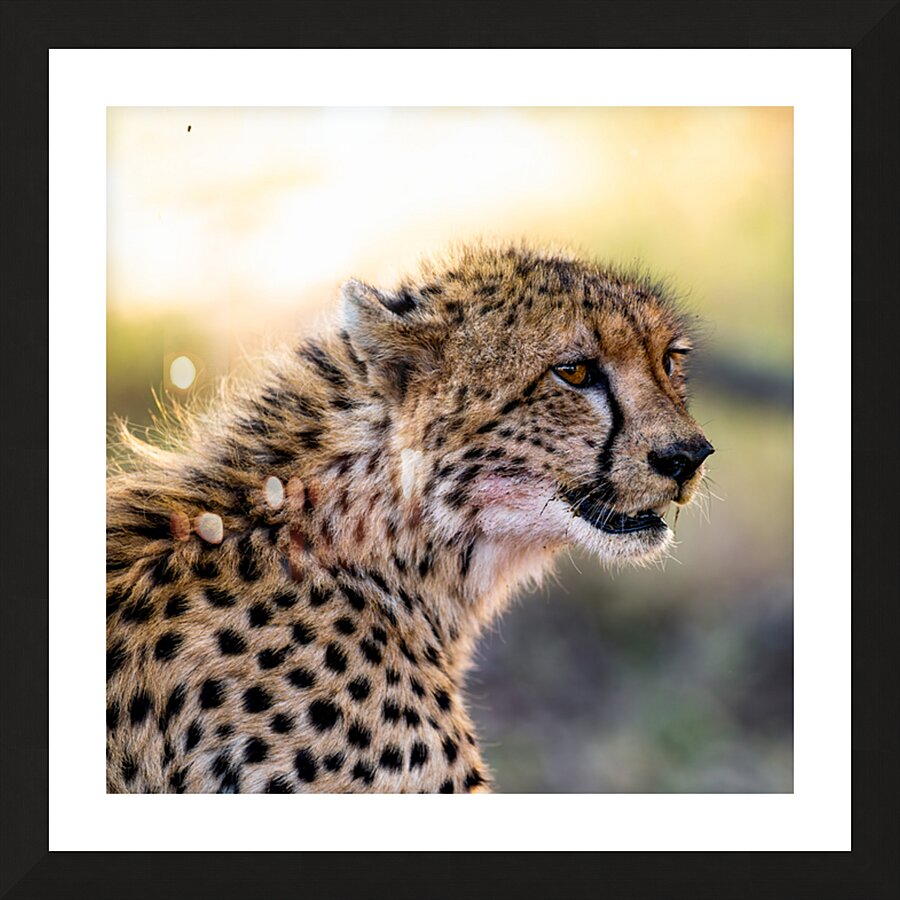 NBC081223686 Edit Picture Frame print