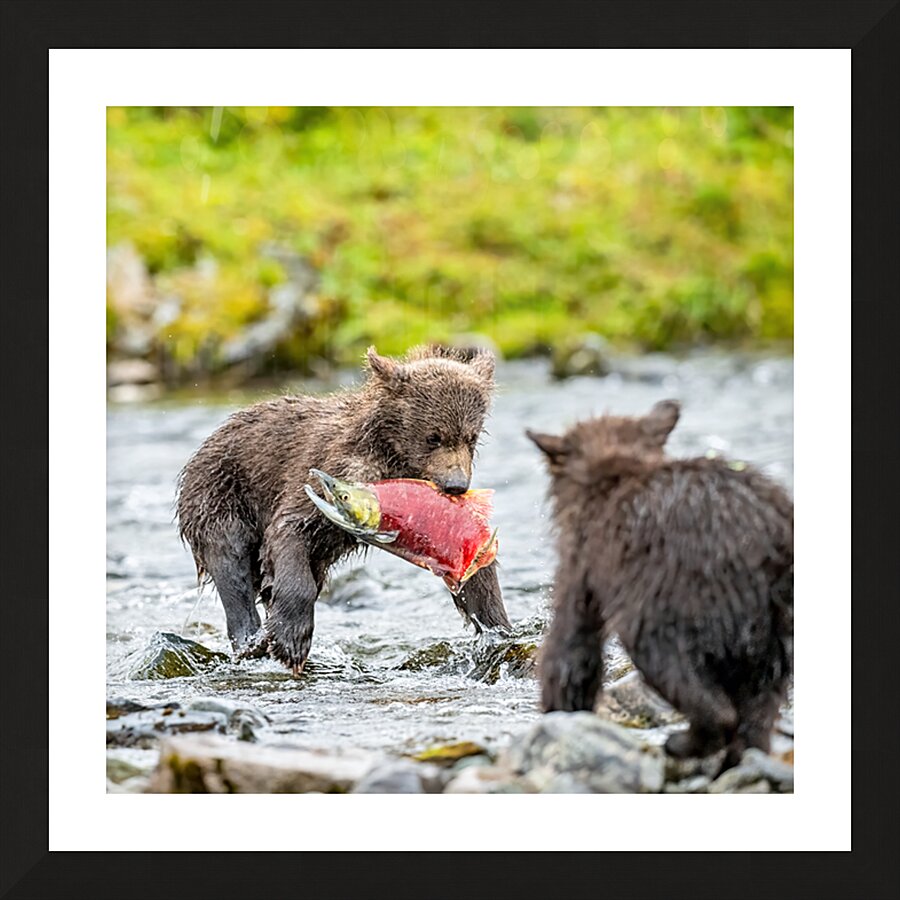 MIrror20240821 0745 Edit Picture Frame print