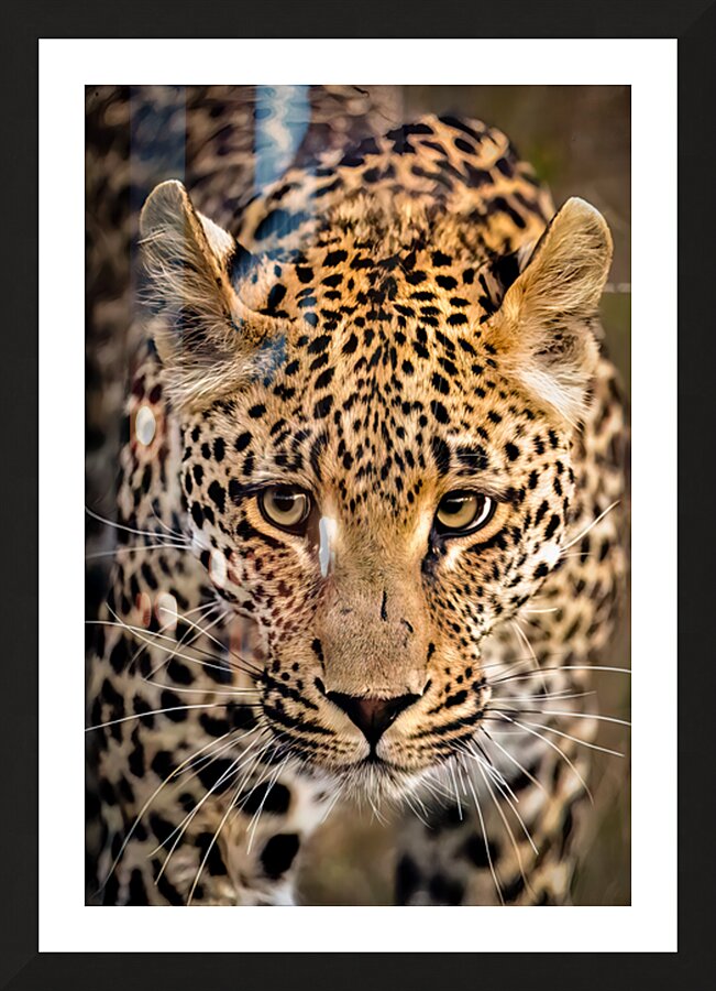 NBC081323445 Edit Picture Frame print